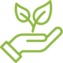 Ellies | Sustainability 